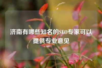 济南有哪些知名的SEO专家可以提供专业意见