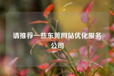 请推荐一些东莞网站优化服务公司