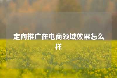 定向推广在电商领域效果怎么样