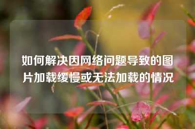 如何解决因网络问题导致的图片加载缓慢或无法加载的情况