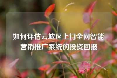 如何评估云城区上门全网智能营销推广系统的投资回报