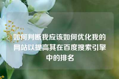 如何判断我应该如何优化我的网站以提高其在百度搜索引擎中的排名