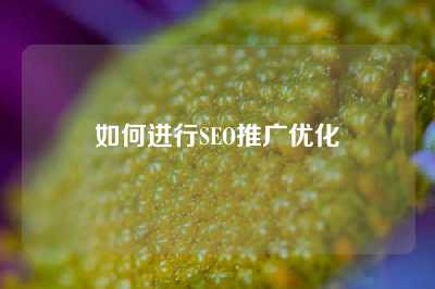 如何进行SEO推广优化