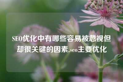 SEO优化中有哪些容易被忽视但却很关键的因素,seo主要优化