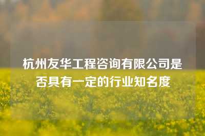 杭州友华工程咨询有限公司是否具有一定的行业知名度