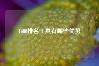 1688排名工具有哪些优势