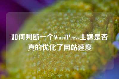 如何判断一个WordPress主题是否真的优化了网站速度