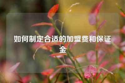 如何制定合适的加盟费和保证金