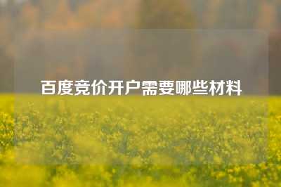 百度竞价开户需要哪些材料