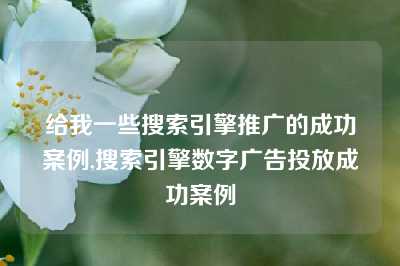 给我一些搜索引擎推广的成功案例,搜索引擎数字广告投放成功案例