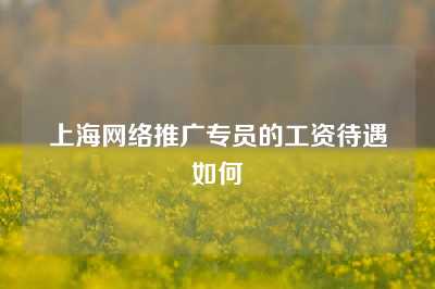 上海网络推广专员的工资待遇如何