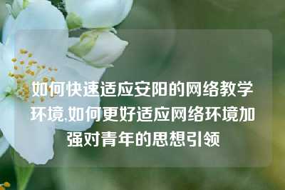 如何快速适应安阳的网络教学环境,如何更好适应网络环境加强对青年的思想引领