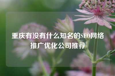 重庆有没有什么知名的SEO网络推广优化公司推荐