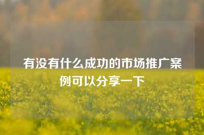 有没有什么成功的市场推广案例可以分享一下