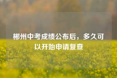 郴州中考成绩公布后，多久可以开始申请复查