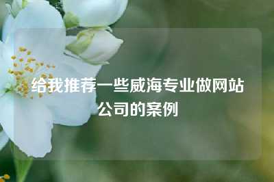 给我推荐一些威海专业做网站公司的案例