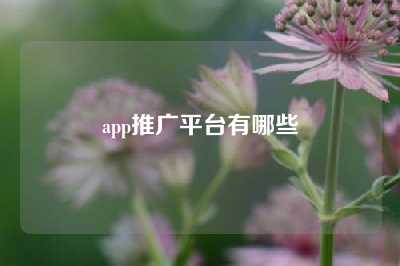 app推广平台有哪些