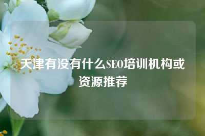 天津有没有什么SEO培训机构或资源推荐