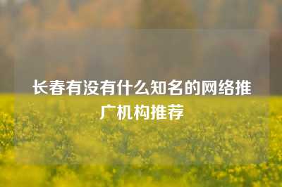 长春有没有什么知名的网络推广机构推荐