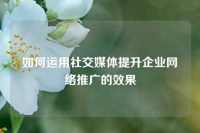 如何运用社交媒体提升企业网络推广的效果