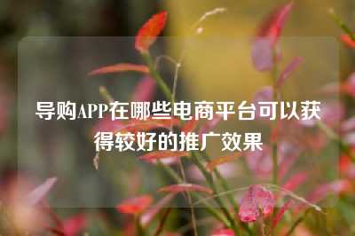 导购APP在哪些电商平台可以获得较好的推广效果