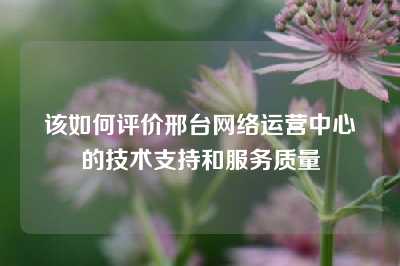 该如何评价邢台网络运营中心的技术支持和服务质量