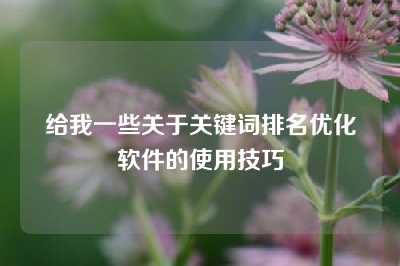 给我一些关于关键词排名优化软件的使用技巧