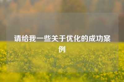 请给我一些关于优化的成功案例