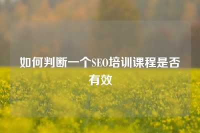 如何判断一个SEO培训课程是否有效