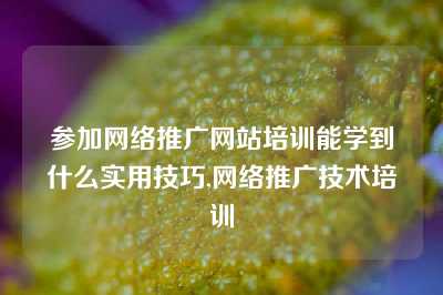 参加网络推广网站培训能学到什么实用技巧,网络推广技术培训