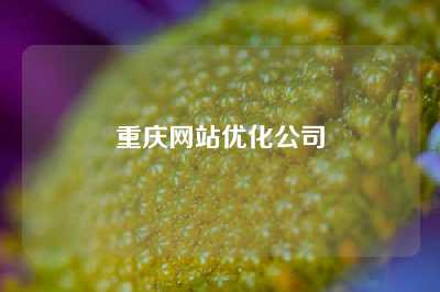 重庆网站优化公司