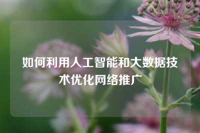 如何利用人工智能和大数据技术优化网络推广