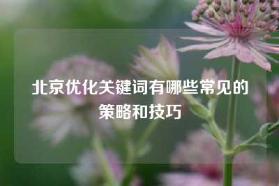 北京优化关键词有哪些常见的策略和技巧