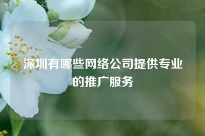 深圳有哪些网络公司提供专业的推广服务