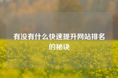 有没有什么快速提升网站排名的秘诀