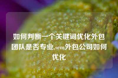 如何判断一个关键词优化外包团队是否专业,sem外包公司如何优化