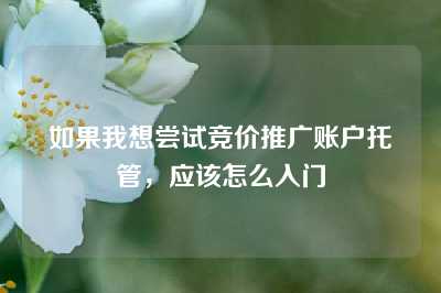 如果我想尝试竞价推广账户托管，应该怎么入门