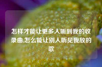 怎样才能让更多人听到我的收录曲,怎么能让别人听见我放的歌