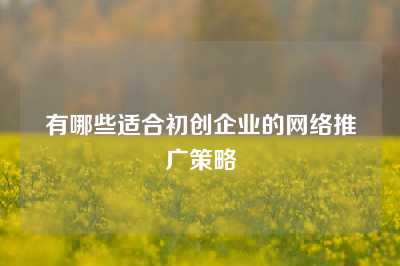 有哪些适合初创企业的网络推广策略