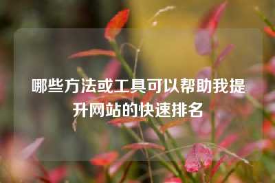 哪些方法或工具可以帮助我提升网站的快速排名