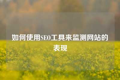 如何使用SEO工具来监测网站的表现