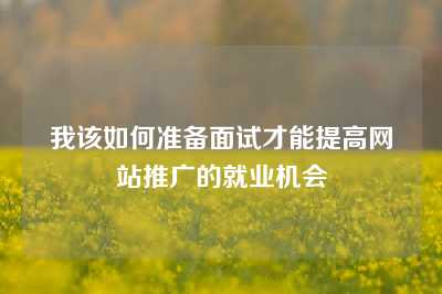 我该如何准备面试才能提高网站推广的就业机会