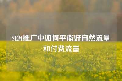 SEM推广中如何平衡好自然流量和付费流量