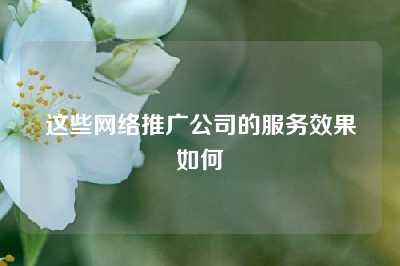 这些网络推广公司的服务效果如何