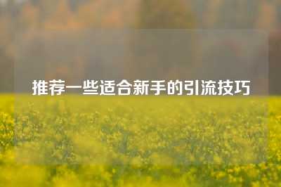 推荐一些适合新手的引流技巧