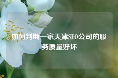 如何判断一家天津SEO公司的服务质量好坏