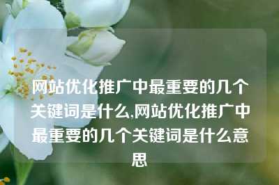 网站优化推广中最重要的几个关键词是什么,网站优化推广中最重要的几个关键词是什么意思