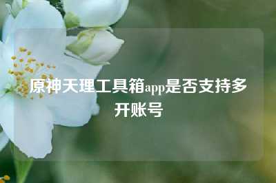 原神天理工具箱app是否支持多开账号