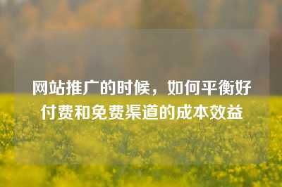 网站推广的时候，如何平衡好付费和免费渠道的成本效益