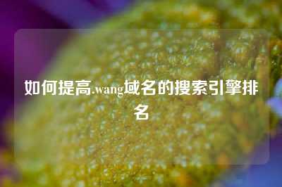 如何提高.wang域名的搜索引擎排名